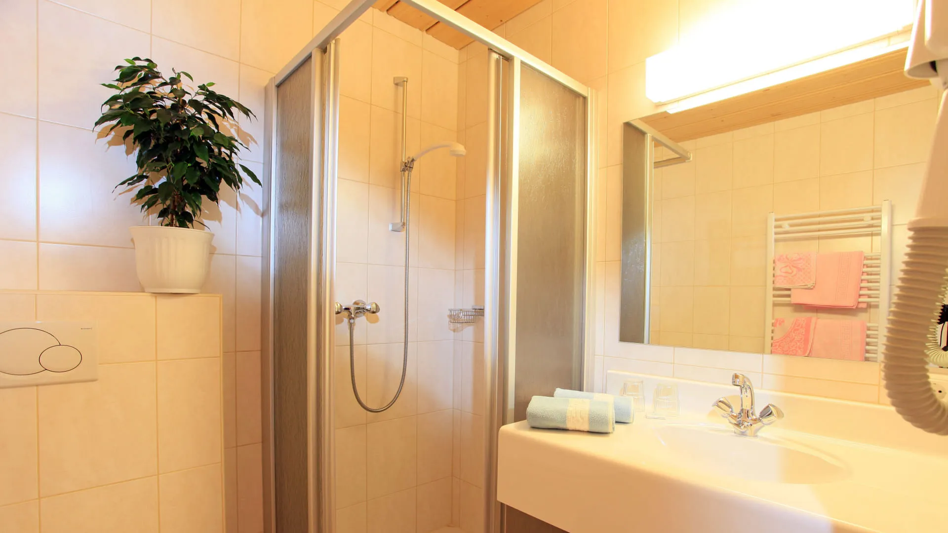 modernes Badezimmer mit Dusche und Pflanzen